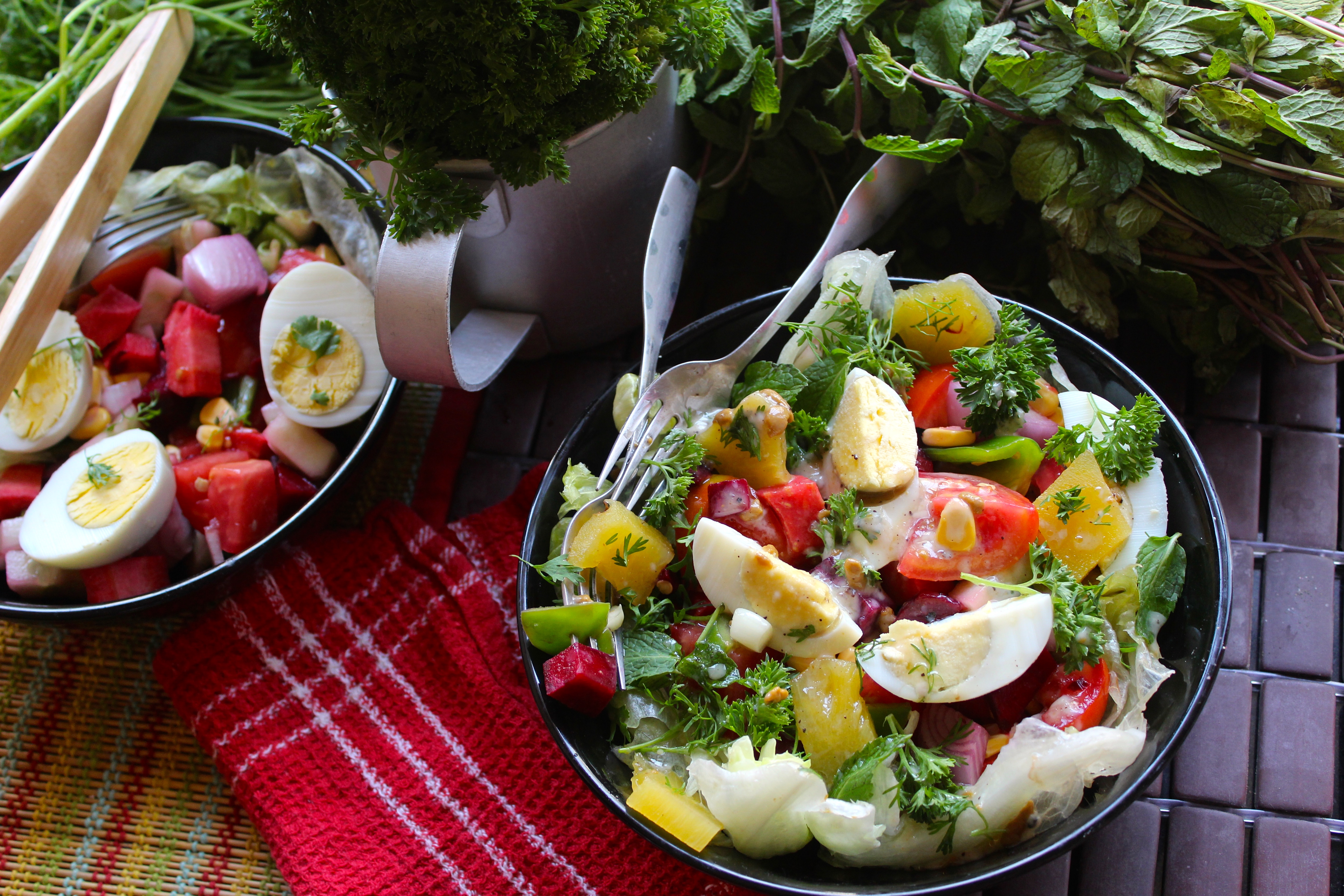 Crispy Vegetables and Egg Spring Salad