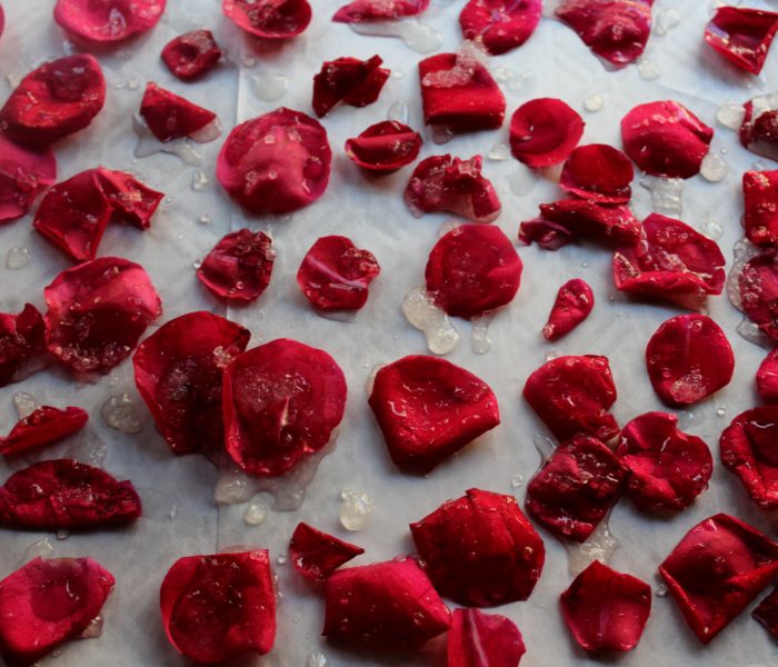 Candied Rose Petals (Eggless)