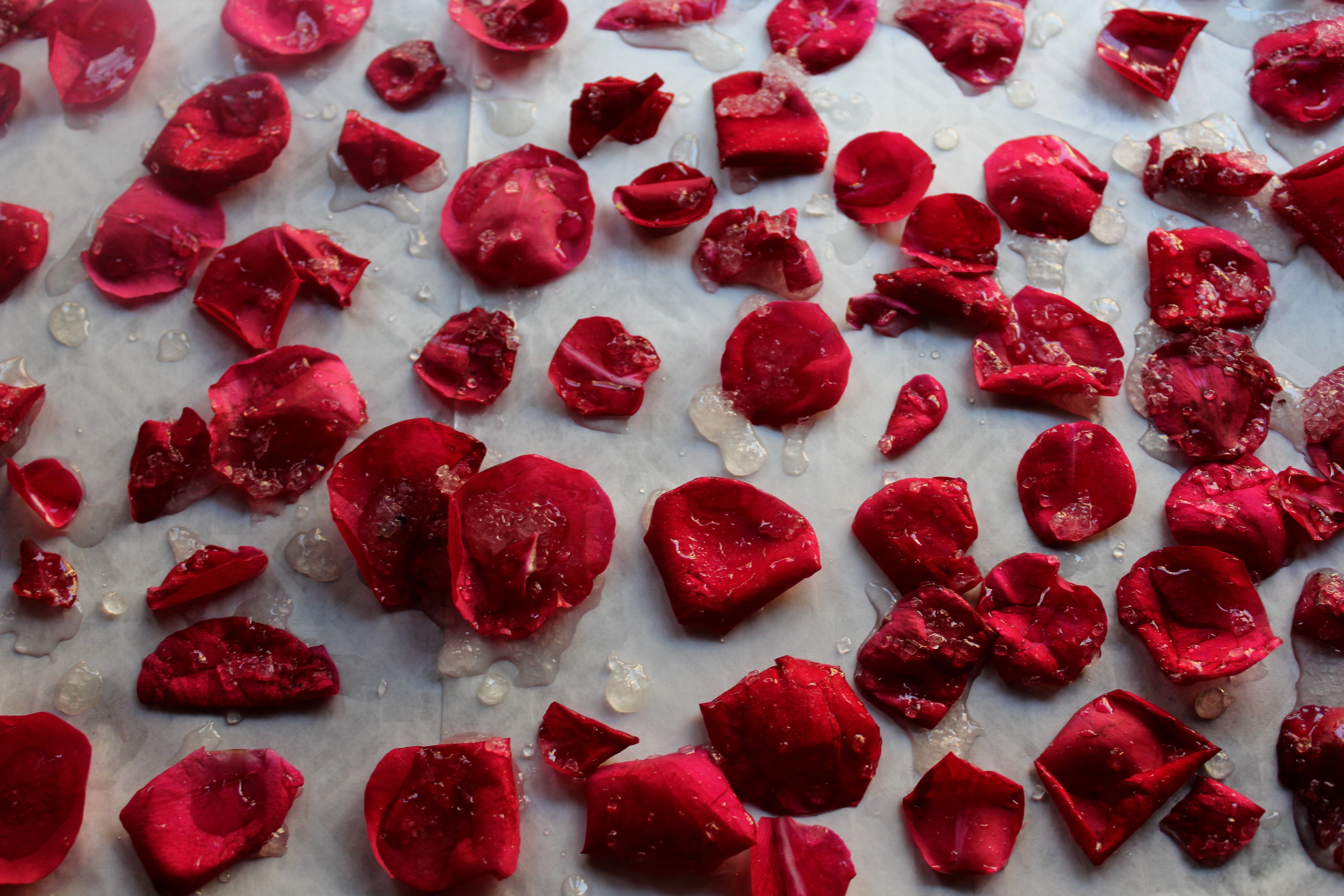 Candied Rose Petals (Eggless)